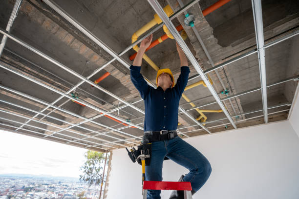 Best Gas Line Repair  in Fridley, MN